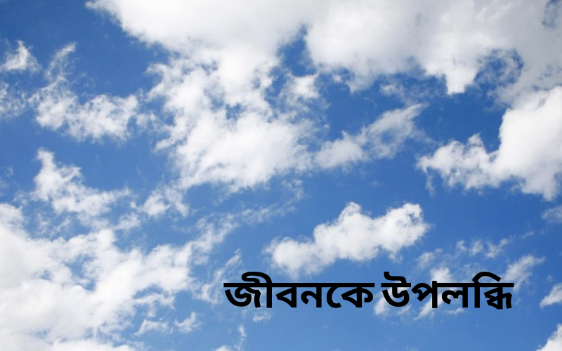 জীবনকে উপলব্ধি