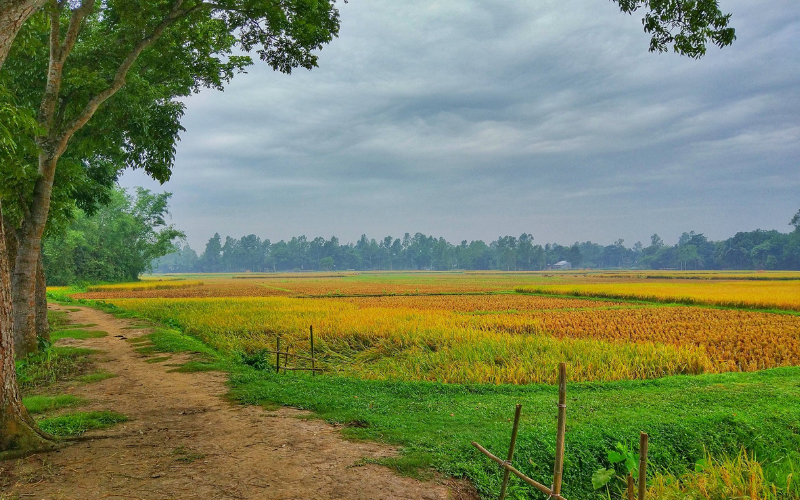 অসমাপ্ত স্বপ্ন