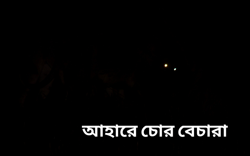 আহারে চোর বেচারা