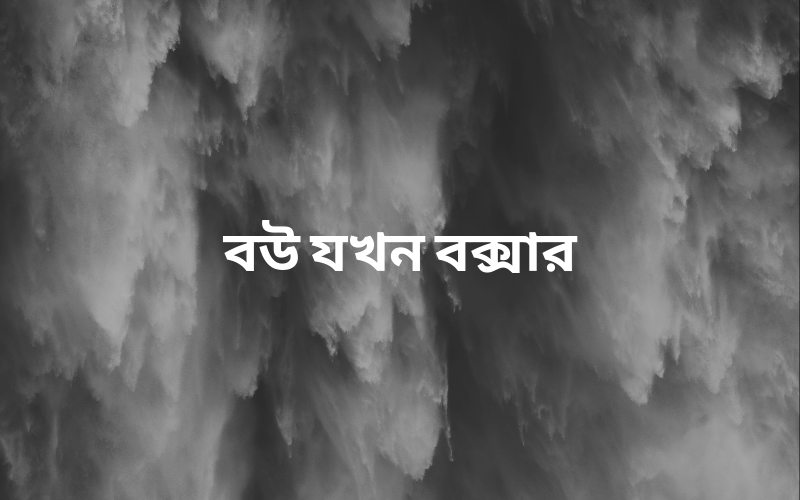 বউ যখন বক্সার
