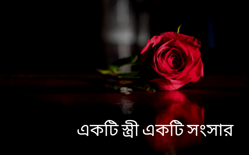 একটি স্ত্রী একটি সংসার